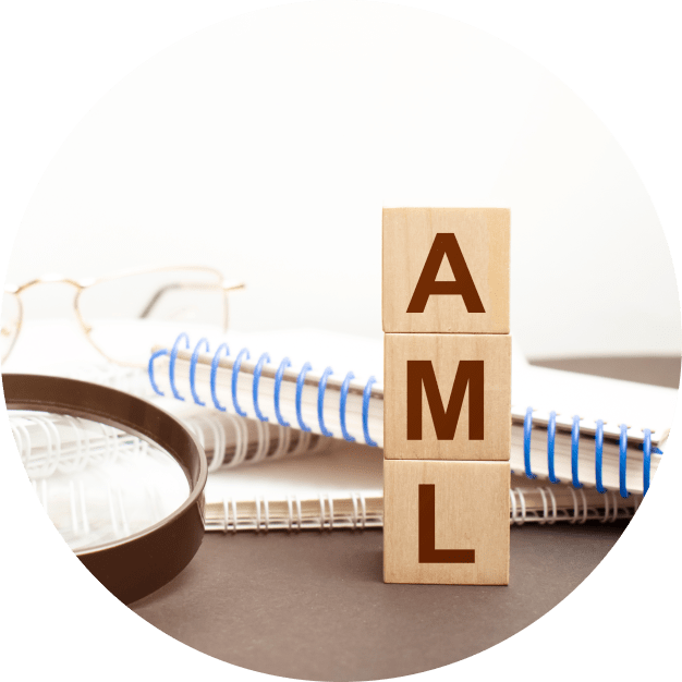 AML Software Selection