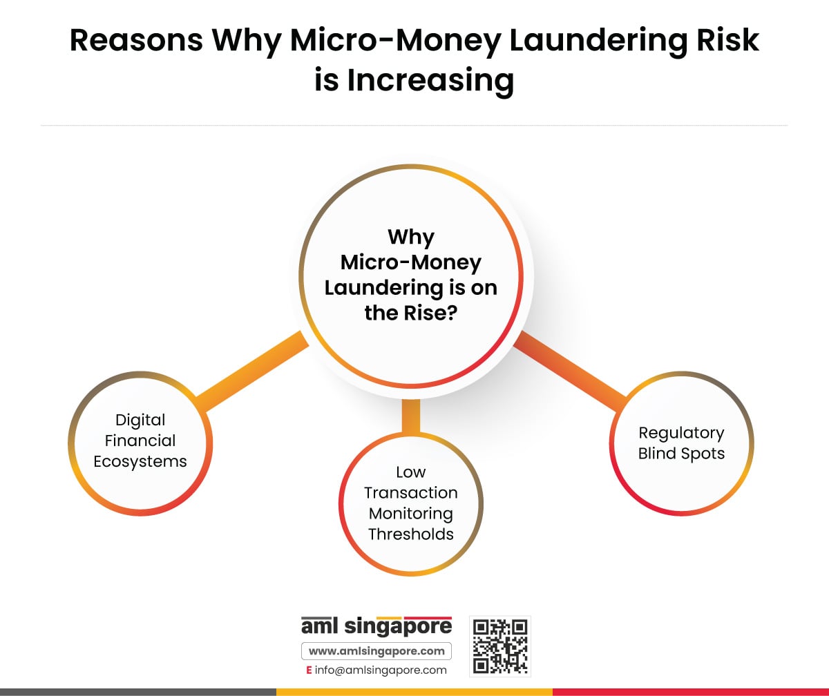 Reasons Why Micro-Money Laundering Risk is Increasing