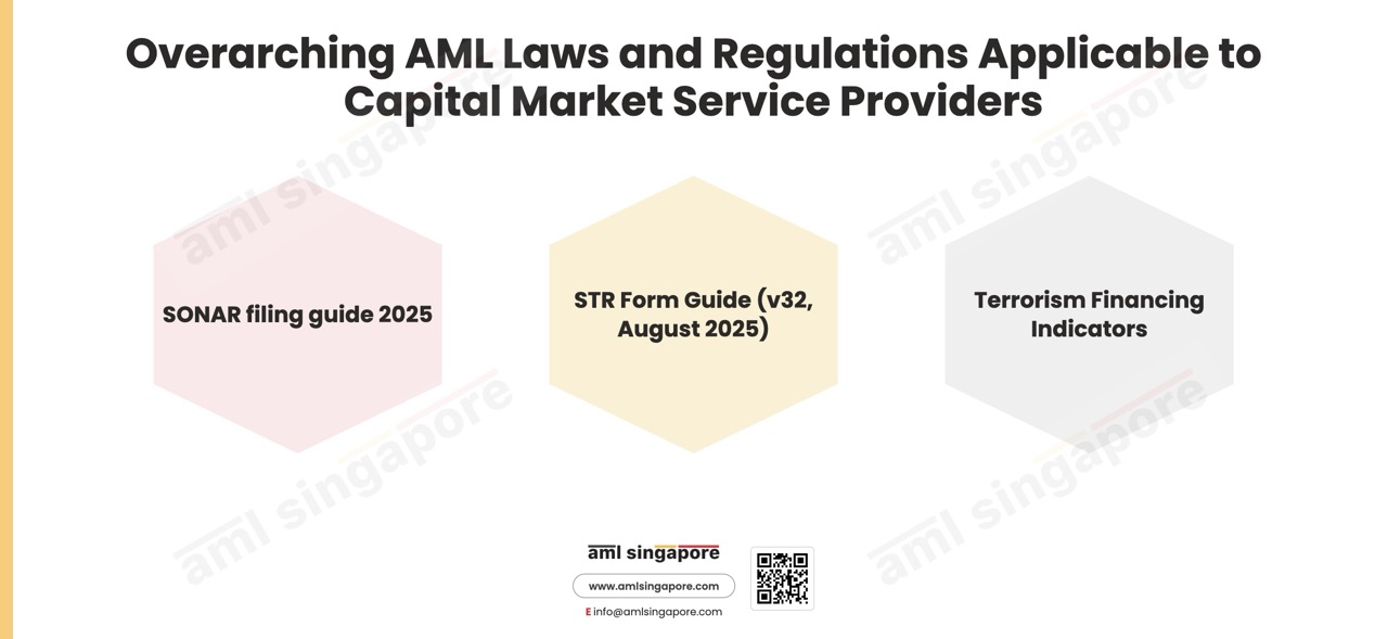Overarching AML Laws Regulations Capital Market Service Providers