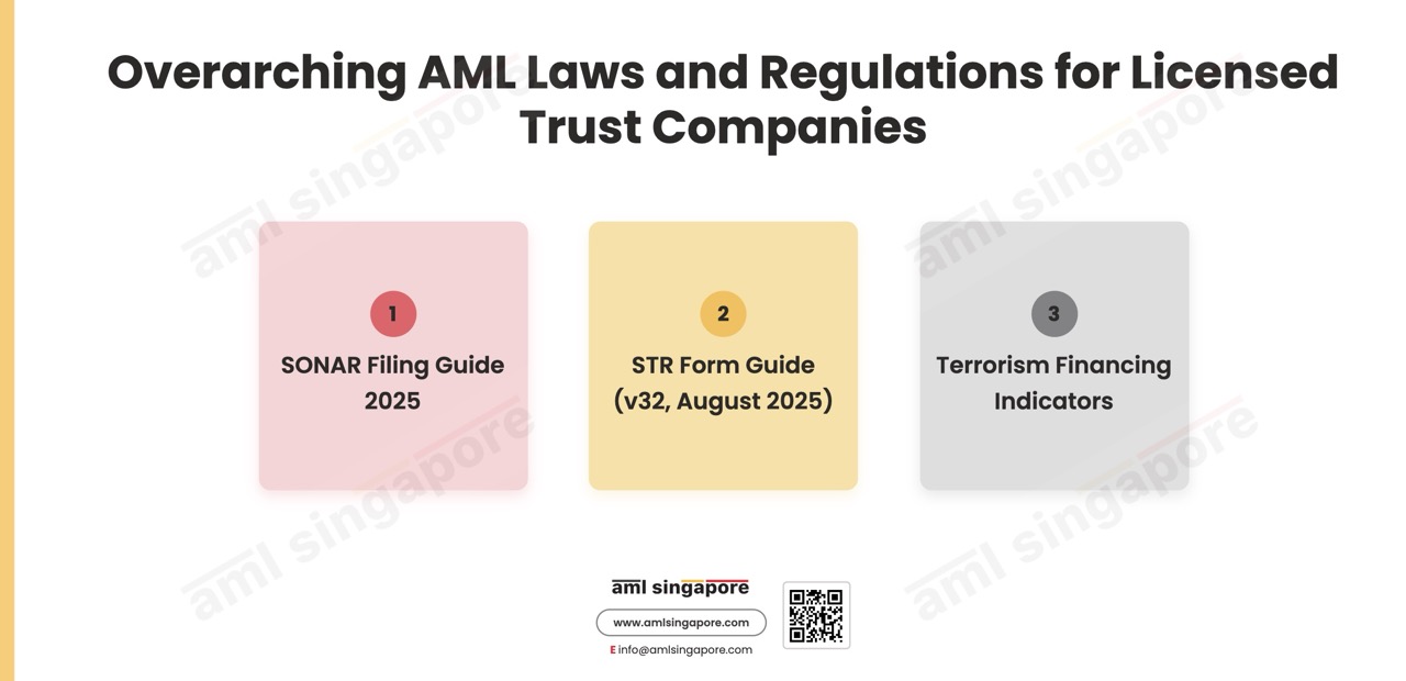 Overarching AML Laws Regulations Licensed Trust Companies