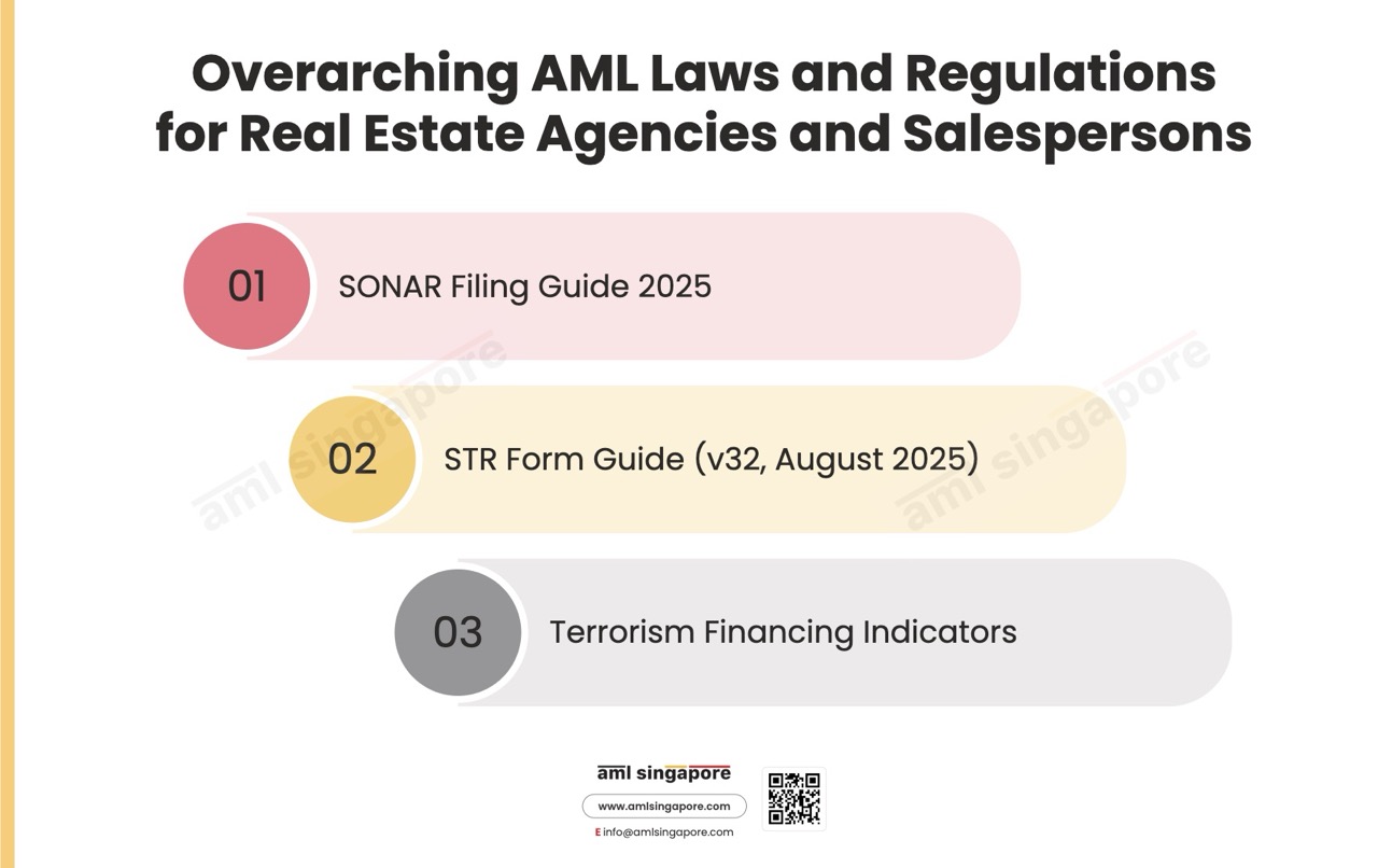 Overarching AML Laws Regulations Real Estate Agencies Salespersons