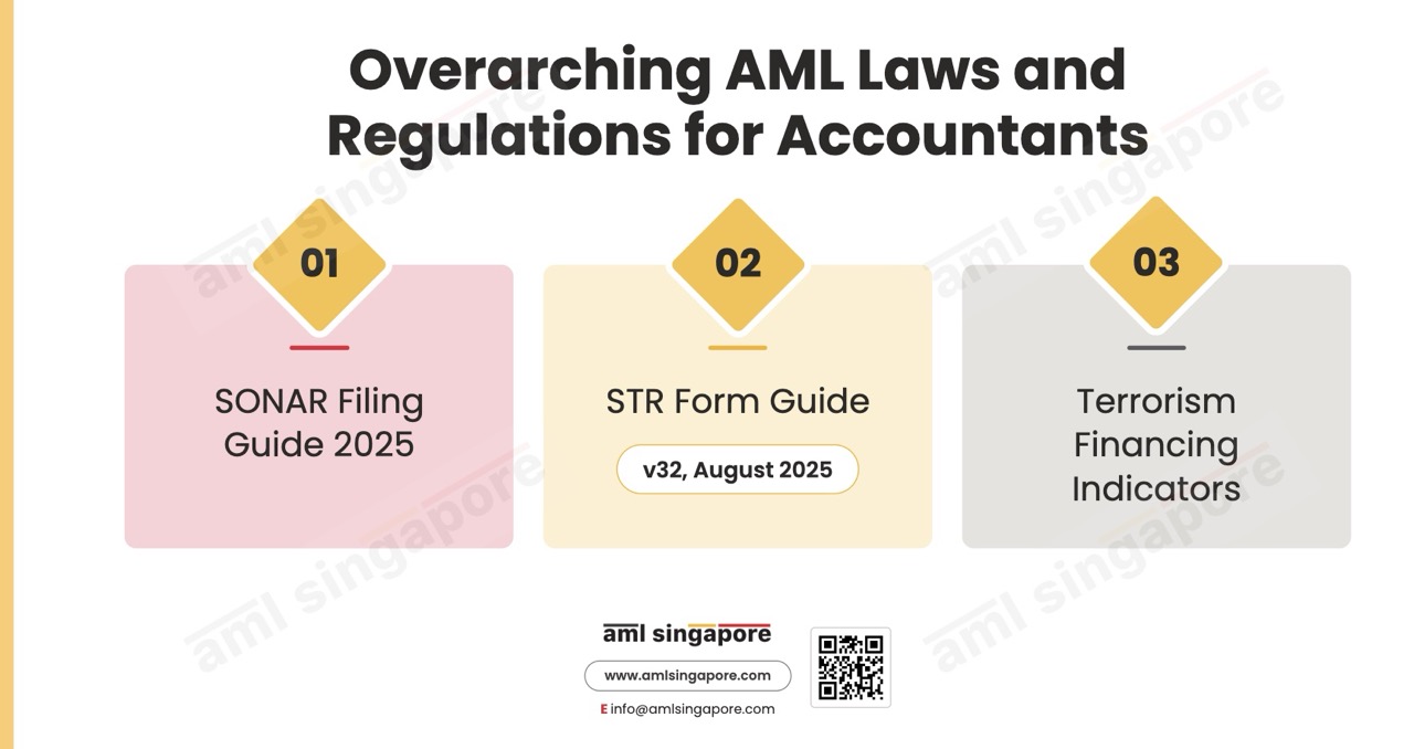 Overarching AML Laws and Regulations for Accountants