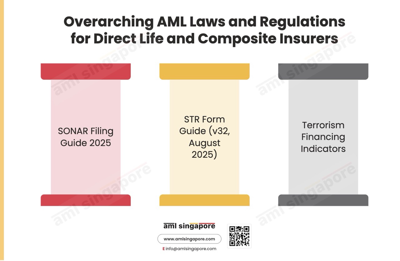 Overarching AML Laws and Regulations for Direct Life and Composite Insurers